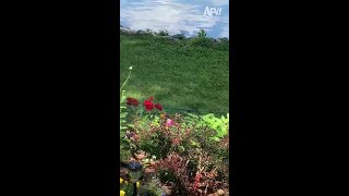 The Water Bill Since Dad Took Up Gardening...