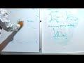 GRAPH TRASFOMATION