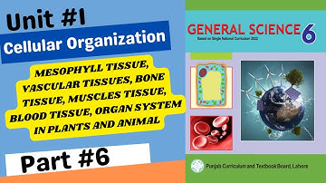 Class 6 new science book part 6 || cellular organization || Class 6 new general science book 2023