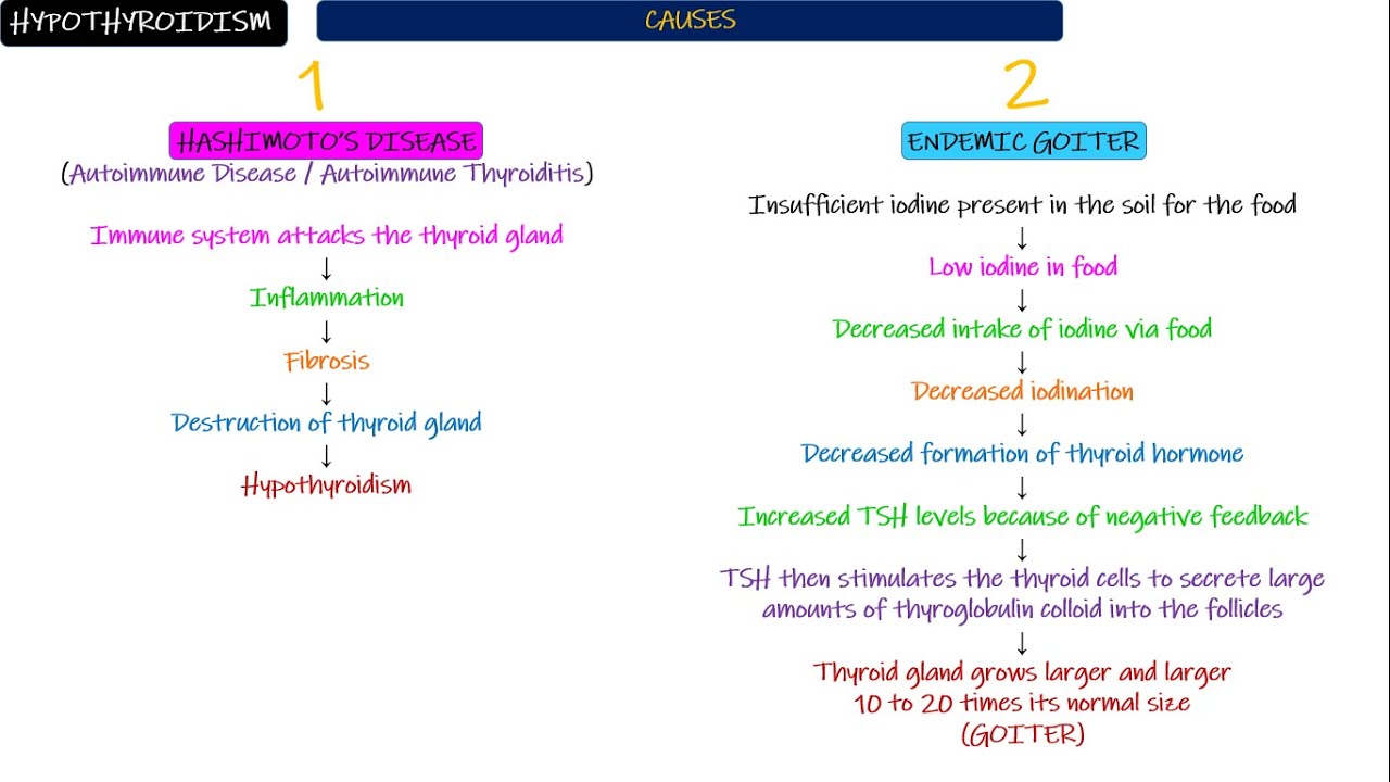 Hypothyroidism. Chapter 77 part 10. Guyton and Hall Physiology.