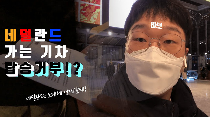 다시 돌아왔다 | 프랑스에서 네덜란드 가는 기차 탑승거부!? | 바보짓 | 브이로그