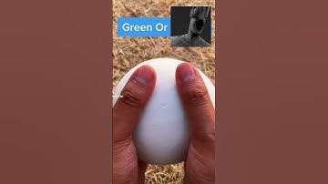 Thumbnail of Green, or J U D G E M E N T #shorts