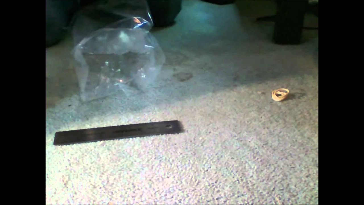 freshwater book Bearded Dragon eating HUGE worm