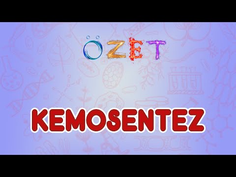 Kemosentez / Özet