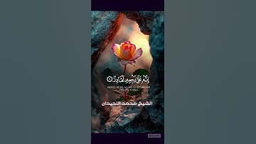 #القرآن_الكريم #اكسبلور #المصحف #تلاوة #تيك_توك #اللهم_صل_وسلم_على_نبينا_محمدﷺ #محمداللحيدان