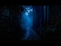 🌙 Mysterious Forest Rain 🌧️ Sleep Fast Tonight | Deep Sleep Ambience for Insomnia