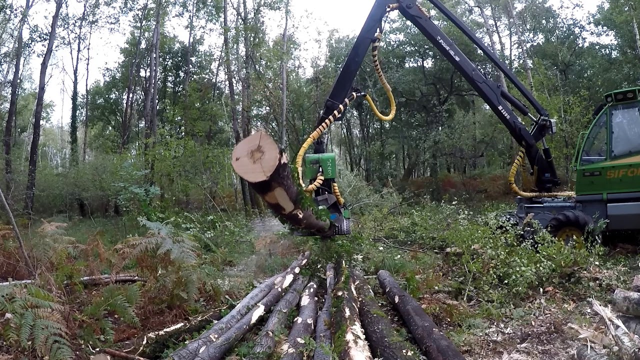 abatteuse sifor 615 et tête d'abattage sifor 523 FEUILLUS (polyvalence extrême)