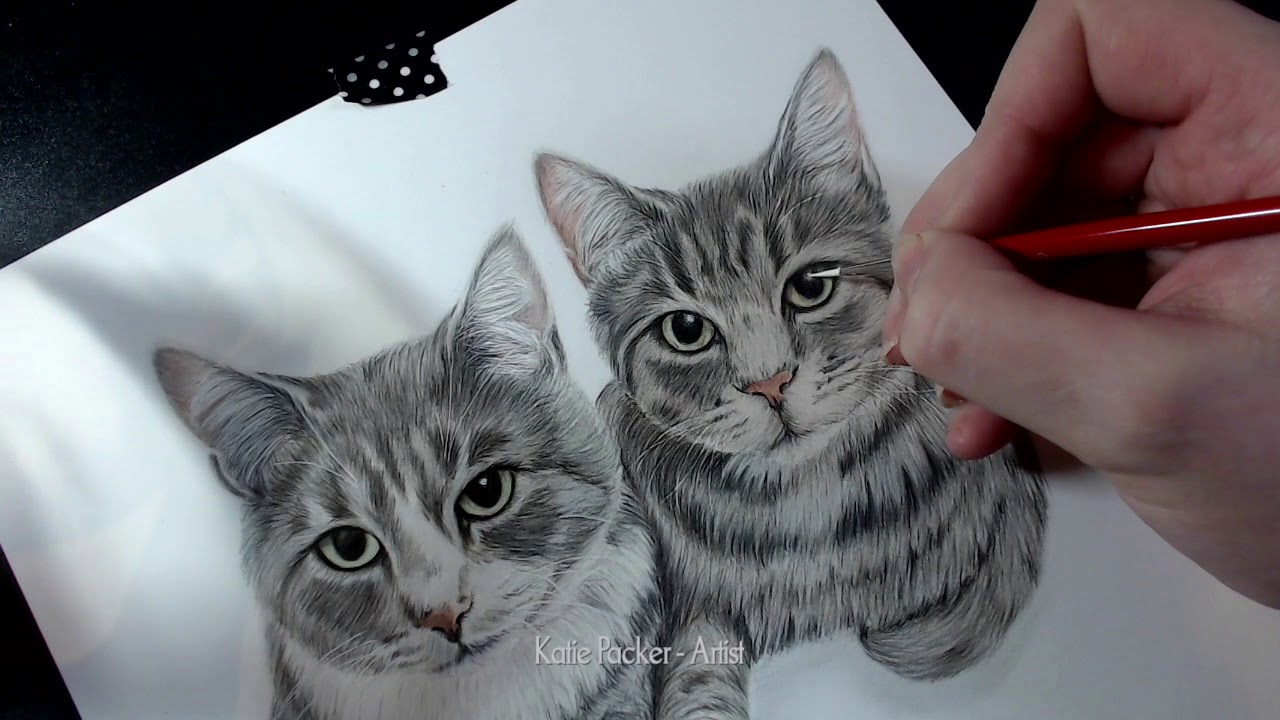 Time lapse of Brush and Pencil Titanium White Highlights being added to