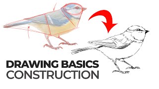 Drawing Basics  Construction