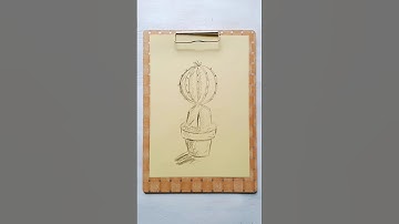 Sketch Cactus. #howtodraw #cactus #plants #sketch #drawing #tutorial #drawingtutorial #illustration