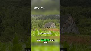 Cuban Tobacco Secrets Soil, Climate More