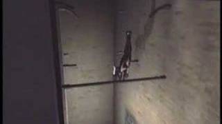 Bloodrayne Trailer