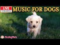 рџ ґ LIVE Dog MusicрџЋµрџђ Relaxing Music For Dogsрџђ рџ Soothing Dog Sleep Musicрџ рџ Separation Anxiety Relieveрџ 10 рџ ґ LIVE Dog MusicрџЋµрџђ Relaxing Music For Dogsрџђ рџ Soothing Dog Sleep Musicрџ рџ Separation Anxiety Relieveрџ 10
