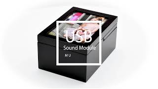 MBA-MB11-PF-UMOD - Custom Sound Module Digital Music Box screenshot 5