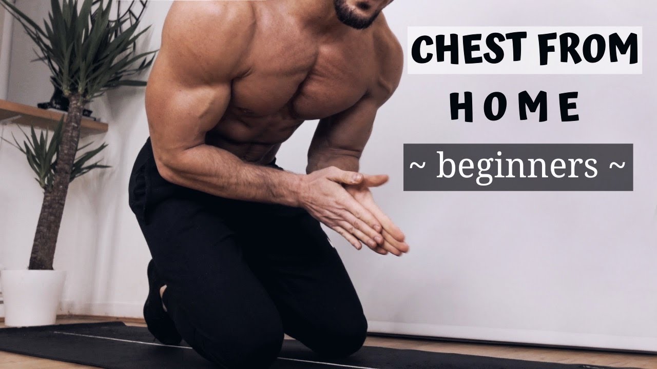 HOME CHEST WORKOUT FOR BEGINNERS - No Equipment