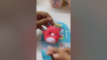 Unboxing SQUISHMALLOW SQUOOSHEMS!!! #asmr #squishmallows #squishmallowsquad #squishmallowcollection