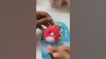 Unboxing SQUISHMALLOW SQUOOSHEMS!!! #asmr #squishmallows #squishmallowsquad #squishmallowcollection