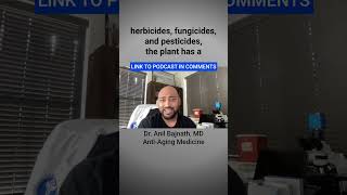 How GMO foods destroy our gut health