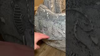 Kids Couch | Foldable Flip Out Sofa For Kids #productreview