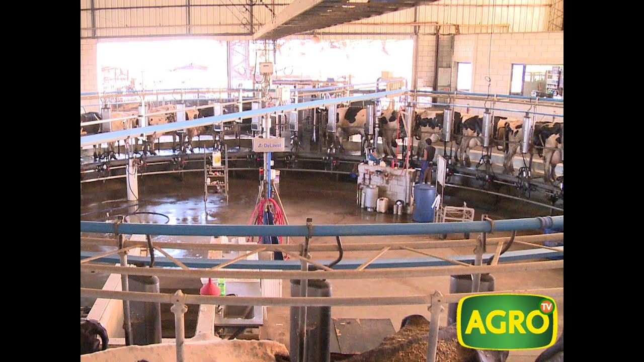 Grupo Chiavassa: Revolución en el tambo con tecnología y capacitación (#655 2016-02-20)