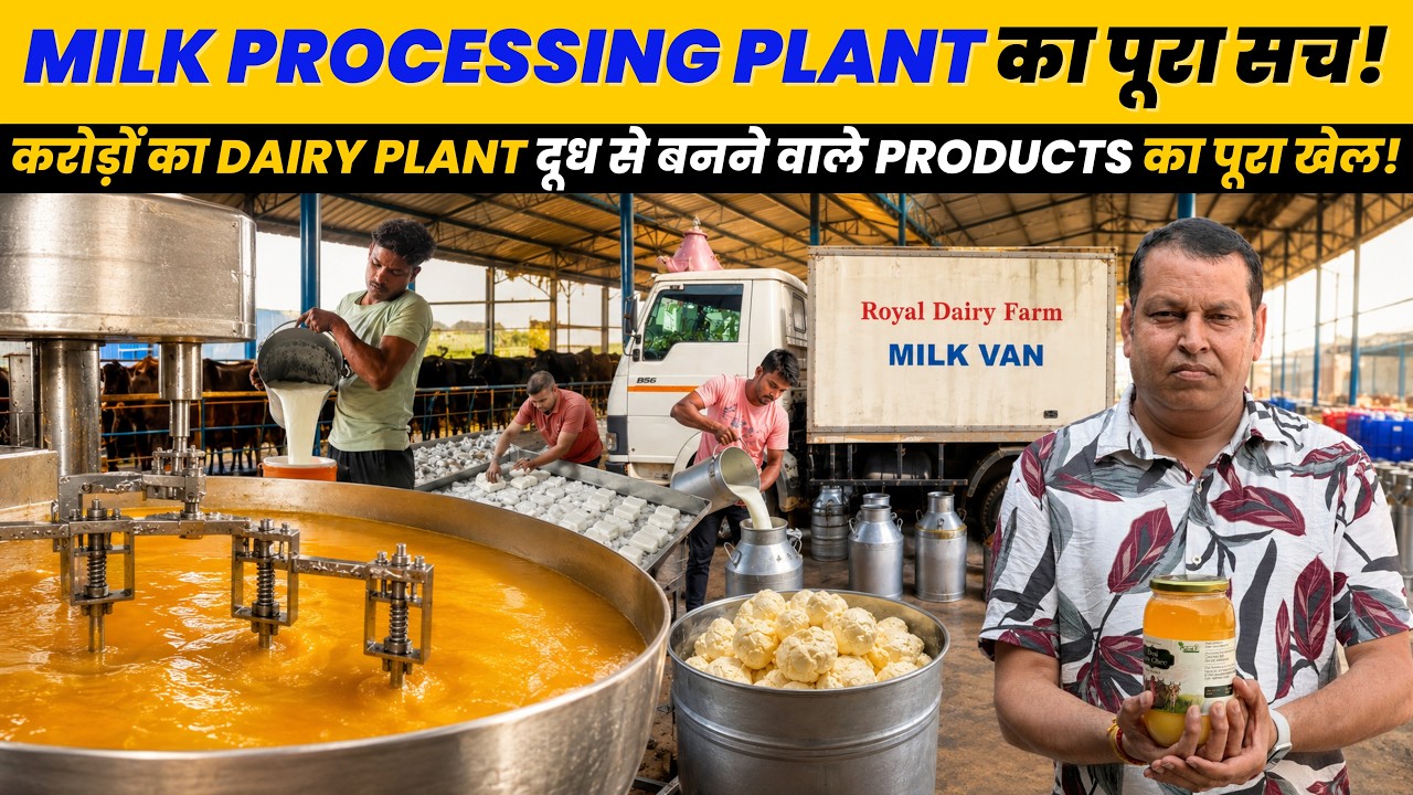 1 दिन में टनों दूध से बनता है Paneer और Ghee | Milk Processing Plant | Royal Dairy Farm