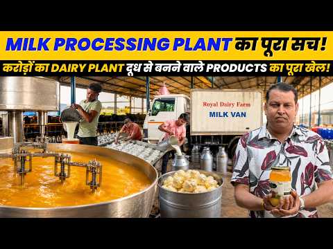 1 दिन में टनों दूध से बनता है Paneer और Ghee | Milk Processing Plant | Royal Dairy Farm