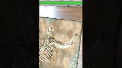 DinoDigger App by NextGen Interactions