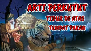 ARTI PERKUTUT TIDUR DI ATAS TEMPAT PAKAN INI MAKNANYA