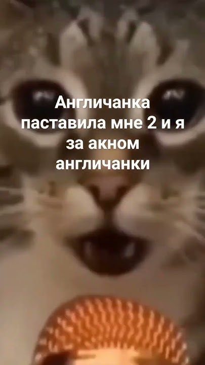 наша раша держава наша наша раша Америка параша - YouTube