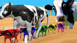 FUNNY COW DANCE 40 │ Cow Song & Cow Videos 2021