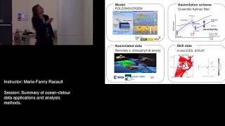 Ocean-colour data in climate studies.