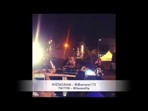 vin-diesel-speaking-at-paul-walker-crash-dead-site