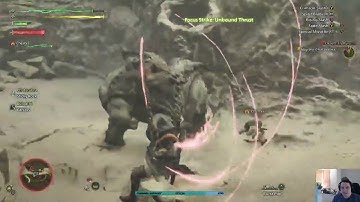 what is this? Graphics bug MH Wilds