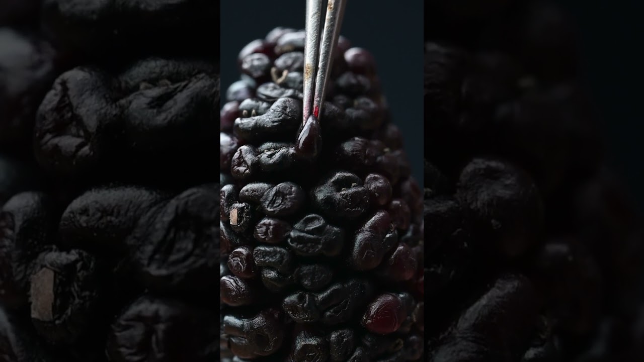 Use tweezers to pick up mulberry fruits 