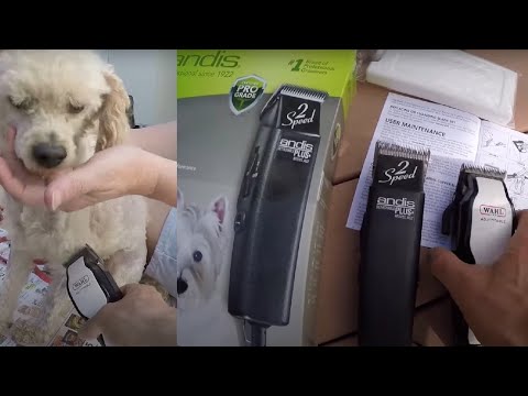 Save Money, Dog Clippers Comparison - Oster and Andis ProClip