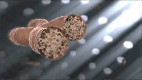 The Action of Telomerase