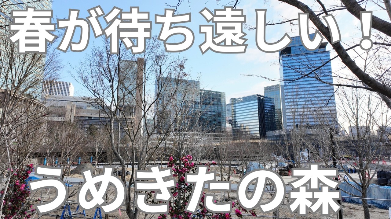 工事がどんどん進行中で！春が来るのが楽しみ！グラングリーン大阪！