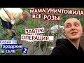 16 серия / роз больше нет / перед маминой операцией отдыхаю на огороде) / хищник в саду / мои грядки