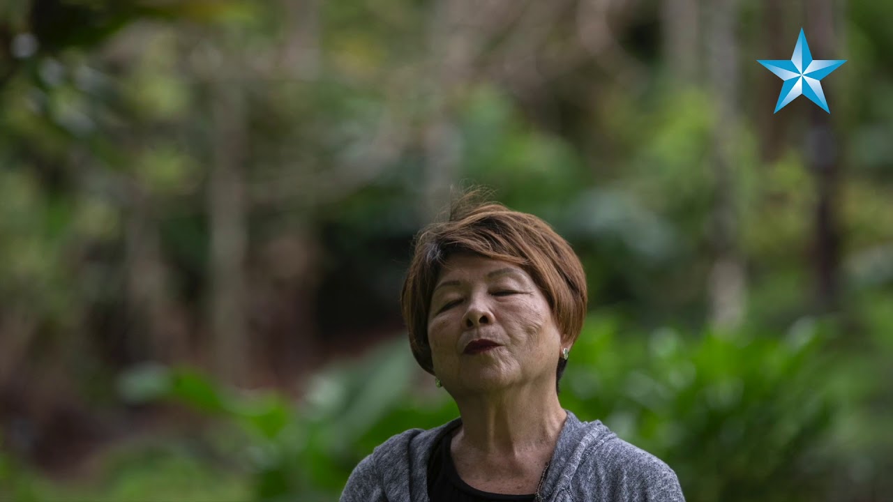 Japanese tradition of 'forest bathing' now available on Oahu - YouTube