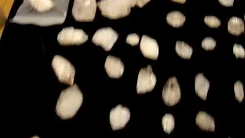MOV07956 1
