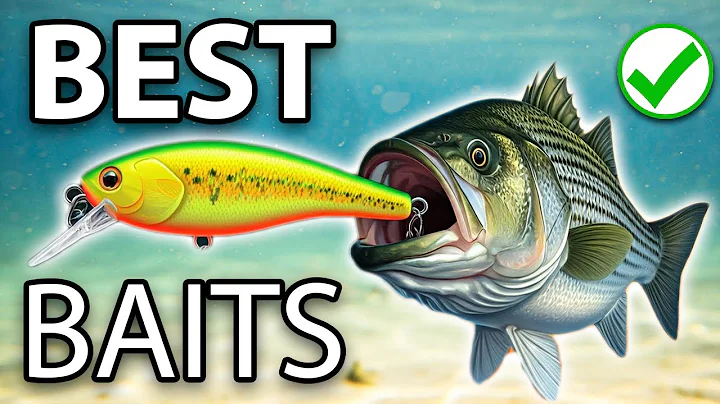 BEST 5 LURES FOR SPRING STRIPED BASS (MUST HAVE SURF FISHING BAITS!)