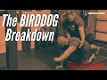 The birddog breakdown feat ian daniel mcgill big 3