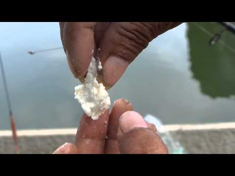 วีดีโอ: วิธีการตกปลาบนบาลานเซอร์