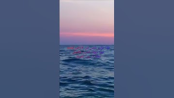سورة البقرة اية 205 - مع صوت البحر بصوت جميل - وَإِذَا تَوَلَّى سَعَى فِي الأَرْضِ