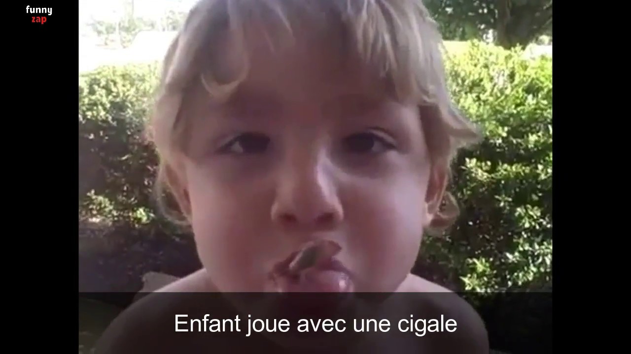 Funny Z At P N11 Humour Video Drole Buzz Insolite
