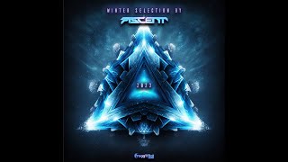 VA - Winter Selection By Ascent (Album Mix)