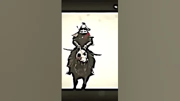 المغول الشيعة العراق 