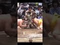 Shimazuumi VS Dewanoryu Haru Basho 2026 Sumo #япония #japan #sumo #сумо #sport #mma #wwe #борьба