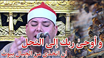الشيخ محمود القزاز وابداع في سورة النحل (و أوحىٰ ربك إلى النحل) ياه علي عظمة الفيديو دا