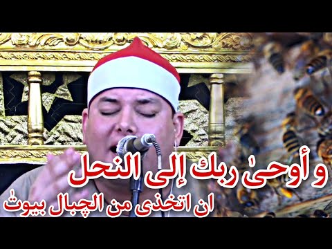 الشيخ محمود القزاز وابداع في سورة النحل و أوحى ربك إلى النحل ياه علي عظمة الفيديو دا